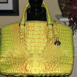 Brahmin Purse...